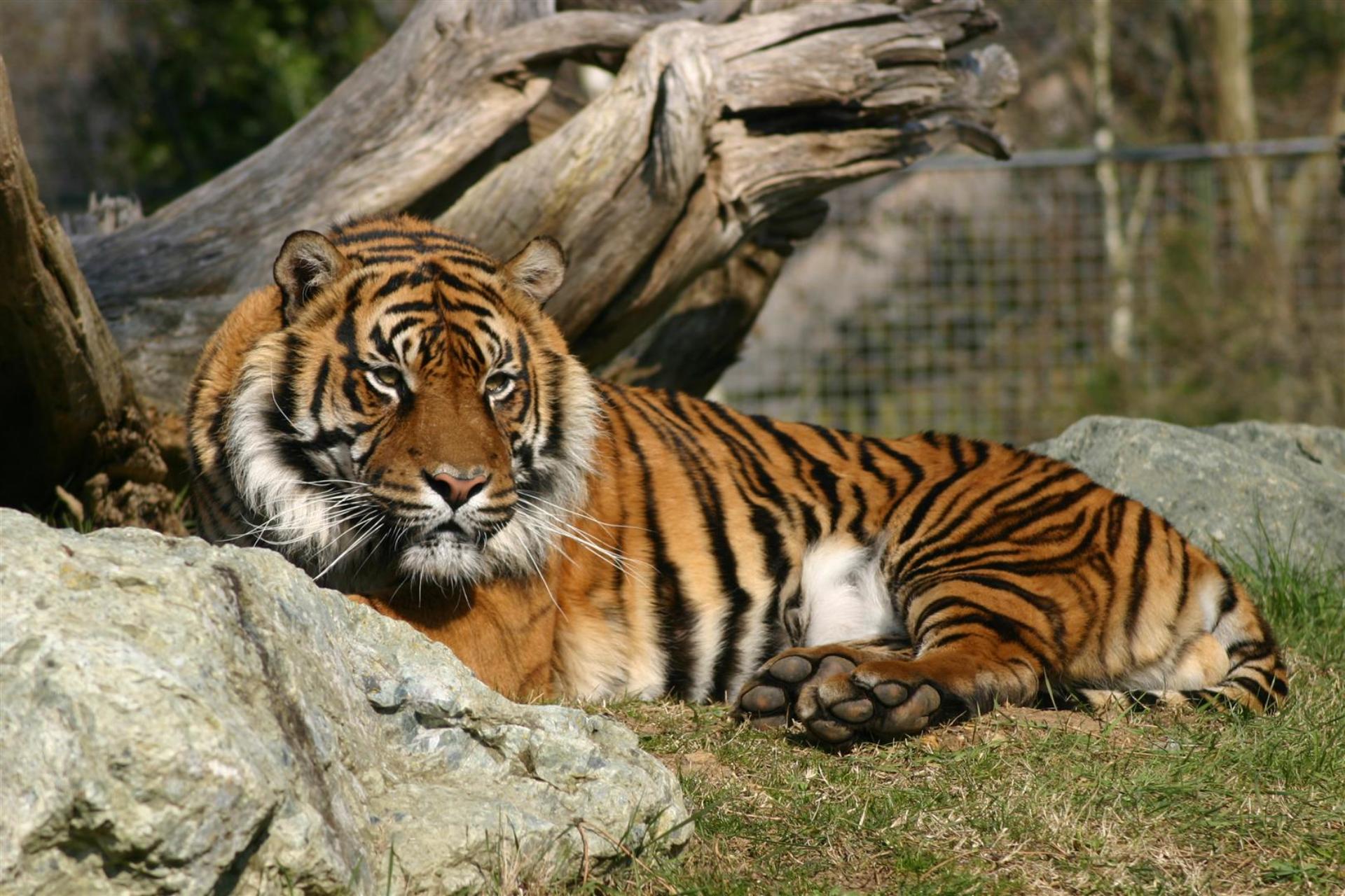 Nos Coins Préférés Du Zoo Vallée Du Loir Tourisme