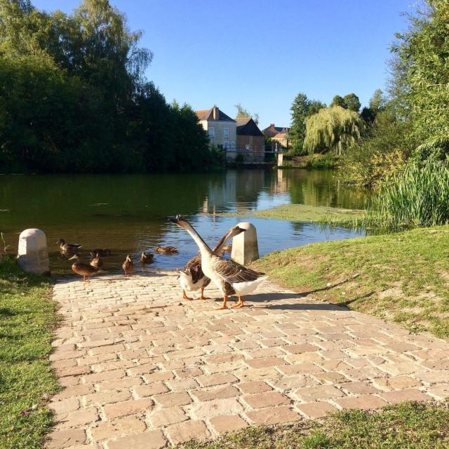 Instagram #valleeduloir