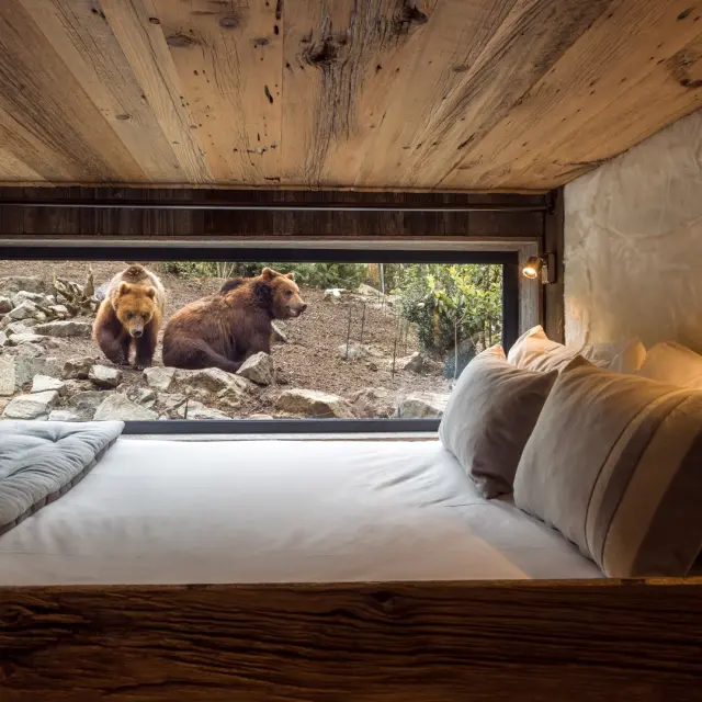 Zoo De La Fleche Safari Lodges 1 Groot