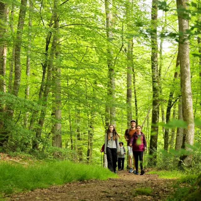 Foret De Berce 2024 Pascal Beltrami 6 Groot