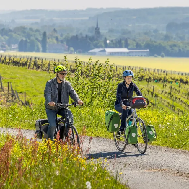 Vignoble Velo 2025 David Darrault 9 Groot