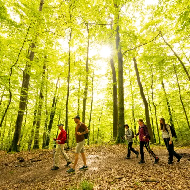 Pascal Beltrami Hogweed Boor 3 Groot 1